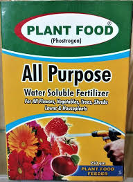 Check spelling or type a new query. N P K 20 20 20 Water Soluble Fertilizer Plant Food Best For Plant Growth By Brandz1 Buy Online At Best Prices In Pakistan Daraz Pk