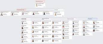 Nursing Organizational Chart Org Chart Organizational Chart Nursing Jobs