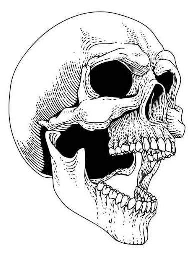 2,400+ Screaming Skull Illustrations - iStock