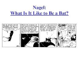 Nagel's reflection on what it is like to be a bat thus leads him to the conclusion that there are facts that do not consist in the truth of a proposition that can be expressed in a human language (532, q.v.) 4. Notes Towards A Computational Theory Of Consciousness William