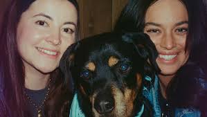 Fundraiser for Farinn Randazzo by sierra bluhm : Support Bruce's Healing  Journey After GDV