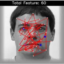 Architecture of the proposed facial expression recognition system