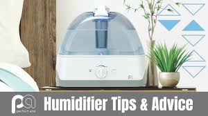 The perfect aire has two settings, low and high. How To Properly Clean An Ultrasonic Humidifier Perfect Aire Youtube