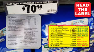 Grass Seed Buyers Guide Grass Pad