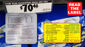 grass seed buyers guide grass pad