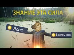 Объяснять мемы — задача неблагодарная. Ra Yn N Happywolfteam Eben Grad Amino