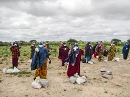 Established by the united nations in 1945, the food and agriculture organization (fao) is a neutral intergovernmental organization.﻿﻿ it strives to provide information and support sustainable. Fao Led Global Covid 19 Food Coalition Gains Momentum World Reliefweb