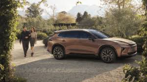 Image result for Bronze Age 2025 Crown