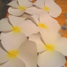 Giant Plumeria Paper Flowers That Was Used To Decorate A Performance Stage Four Card Stock Paper Use F Paper Flowers Giant Paper Flowers Moana Birthday Party