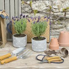 Caring for plants helps us to appreciate the here and now. Butterflies Plant Pot By Sophie Allport