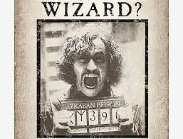 harry potter have you seen this wizard lenticular wood wall art in 2021 harry potter script harry potter potter