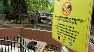 Objek wisata berupa kebun binatang ini sudah cukup populer di kota solo dan menjadi tujuan favorit masyarakat untuk menghilangkan penat setelah biasanya kebun binatang ini lebih ramai ketika akhir pekan atau hari libur karena pada kesempatan tersebut adalah momen yang tepat untuk ber. Jangan Sembarangan Begini Etika Saat Di Kebun Binatang Beritabaik Id