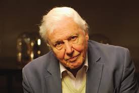 Saving habitats Saving species since 1989 Inside this issue: