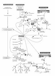 Https Refubium Fu Berlin De Bitstream Handle Fub188 1064 Jensbadewien Pdf Sequence 1 Isallowed Y