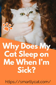 Why Does My Cat Sleep On Me When I M Sick In 2020 Cat Sleeping Cat Care Kitten Care