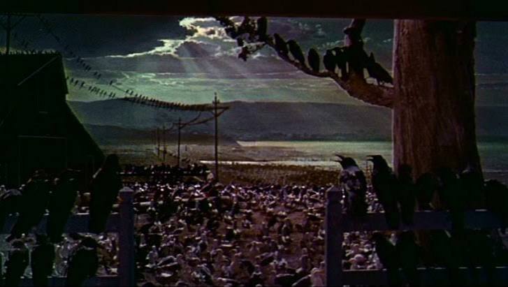 The Birds' (1963) Review - ScreenAge Wasteland