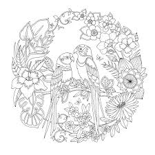 Check out our johanna basford selection for the very best in unique or custom, handmade pieces from our coloring books shops. Amazon Com Magical Jungle 9780753557167 Johanna Basford Books