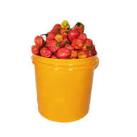 Ata rodo  (Bucket of Pepper)