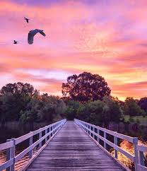 Canberra Australia Summer Sunset Lake Burley Griffin February 2019 Canberra Australia Australia Travel Australia