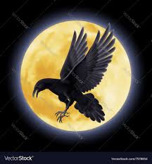 Black raven Royalty Free Vector Image - VectorStock