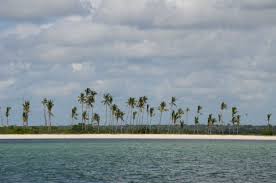 It is known for basketry, for rugmaking and for its offshore islands. The Pristine Coast Of Palma In Northern Mozambique The Invertebrate Collections