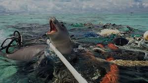 A World Of Waste Effect Of Poor Waste Management On The Planet Great Pacific Garbage Patch Ocean Pollution Oceans Of The World