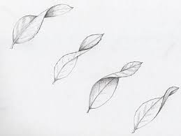 Imagine replicating your flowers in the form of flower drawings! Townmouse Flower Drawing Tutorials Leaf Drawing Pencil Drawings Of Flowers
