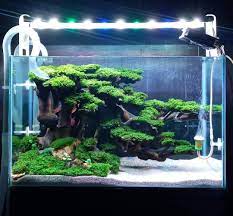 Pin By Mikayla Catalon On Zoo Architecture Inspiration In 2021 Zoo Architecture Aquascape Aquarium