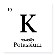 Elements 19 Potassium Sticker Square Elements 19 Potassium Square Sticker 3 X 3 By Ragetees Cafepress Potassium Elements Stickers
