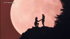 NC couple snaps engagement photo in front of supermoon