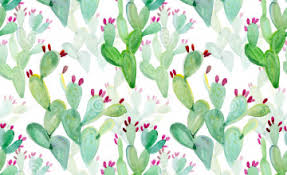 We would like to show you a description here but the site won't allow us. 73 Cactus Wallpaper On Wallpapersafari