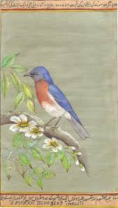 Eastern Bluebird Painting Handmade New York Missouri State Bird Miniature Art Bluebird Painting Miniature Art Mughal Paintings