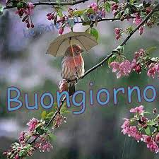 Visualizza altre idee su farfalle, immagini, belle farfalle. Buongiorno Primavera 10 Immagini Per Questa Stagione Top10immagini It