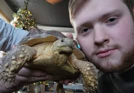 Lost tortoise