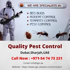 Bed bug extermination experts, cockroach extermination experts, rodent control. Best Pest Control Services In Dubai And Sharjah Pengendalian Hama Dubai