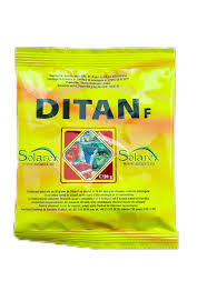 Image result for Ditan