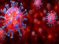 Experten schätzen die mutante „delta plus als besonders besorgniserregend ein. How Dangerous Can The Delta Plus Variant Of Coronavirus Be For Children English Lokmat Com