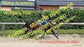 Luciana diniz e.k., wachtberg bei bonn. Die Netaachen Dreifache Mit Luciana Diniz Youtube