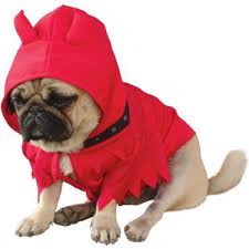 Pin On Creative Dog Costumes