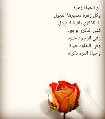 Pin By عمر طه On صور