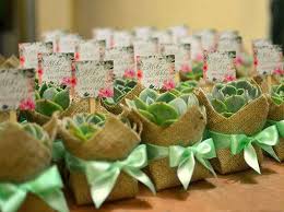 70th Birthday Party Ideas For Mom Philippines Ph Arts Crafts 1966 1 Jpg 531 395 Wedding Souvenirs Wedding Giveaways Plant Wedding Favors