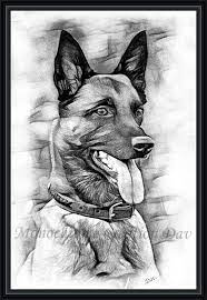 chien malinois dessin portrait fusain monochrome creation eloand2020 coloriages de porcelaine toutes les images