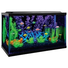 Tetra Glofish 10 Gallon Aquarium Kit Detail Glofish Aquarium Glofish Glow Fish