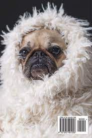 They are out of this world. A Pug In A Fluffy White Blanket Cute Puppy Dog Pet Journal 150 Page Lined Notebook Diary Creations Cs 9781545491058 Amazon Com Books