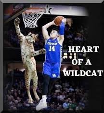 Are you ready for the whole galaxy's hardest matches? Pin By Kennishewa Mcdowell On Kentucky Basketball Wild Cats Basketball History Big Blue Nation