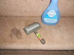 Pin By Faux Citrus Farmhouse On Diy Natural Carpet Cleaning Carpet Cleaning Hacks Carpet Cleaning Equipment
