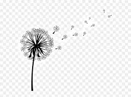 Download Clip Art Image Vector Graphics Dandelion Coffee Silhouette Of A Dandelion Hd Png Download Vhv