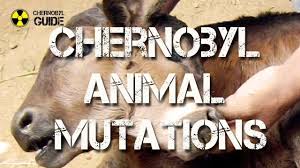 Als einer der ersten fünf trat mykola vor. Chernobyl Disaster Chernobyl Chernobyl Disaster Mutation