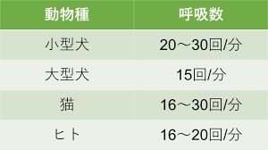 ALL動物病院行徳