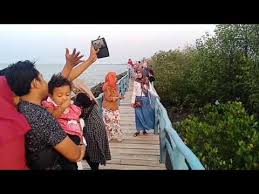 Sedangkan kedual channel dari emtek, yaitu sctv dan indosiar menghilang pada akhir tahun lalu. Scan Tv Digital Cirebon Pake Antena Kaleng Youtube